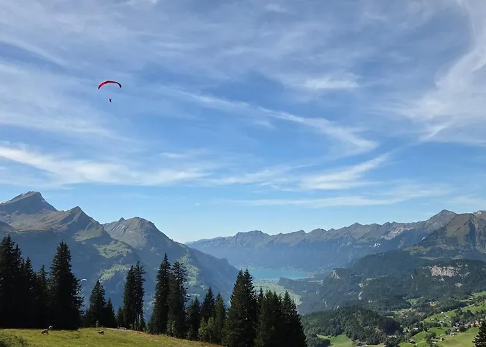 Parkhotel Du Sauvage Meiringen