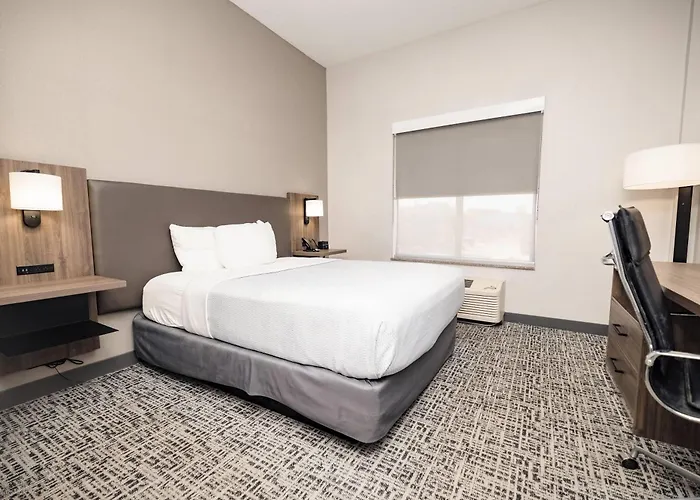 La Quinta By Wyndham Tampa Central