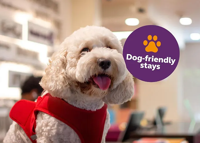 Premier Inn Dubai Al Jaddaf - An Emirates Group Company