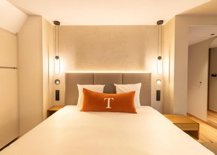 Hôtel Turenne Colmar