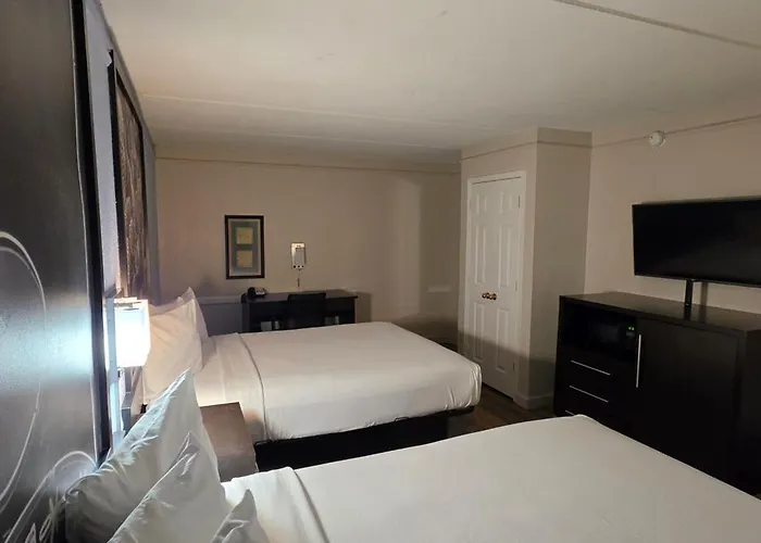 Super 8 By Wyndham Austin South I-35