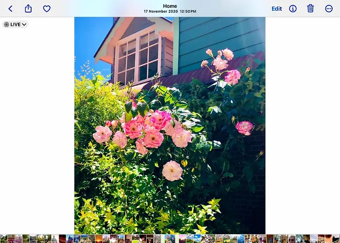 Hawk'S Nest Bed & Breakfast