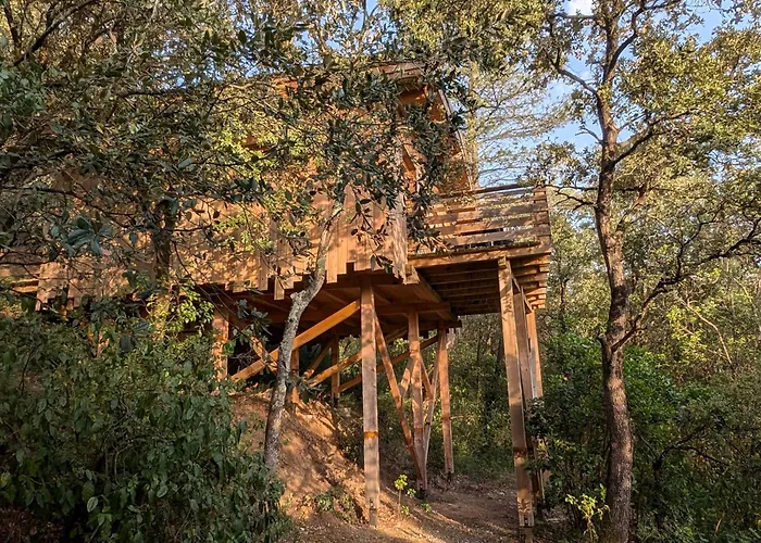 Les Cabanes Dans Les Bois