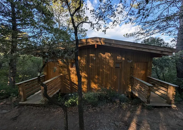 Les Cabanes Dans Les Bois