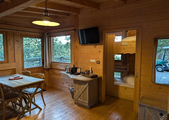 Les Cabanes Dans Les Bois
