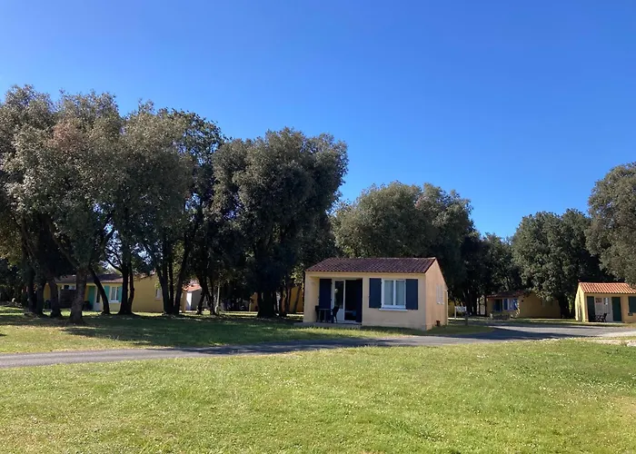 Les Chênes verts Saint-Savinien