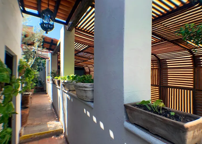 Hotel Mesones 49