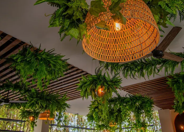 Eco City Hoteles