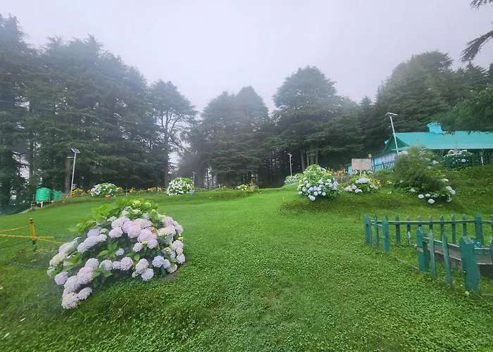 The Smarthill Sanctuary