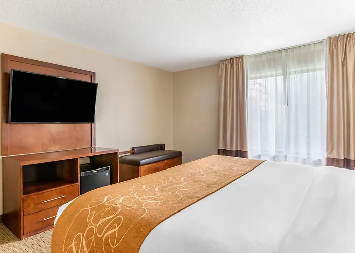 Comfort Suites Grand Rapids North