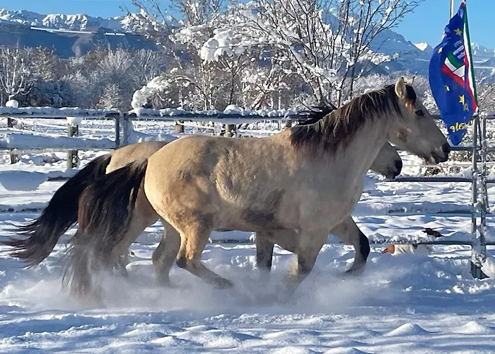 B&B Cm Ranch