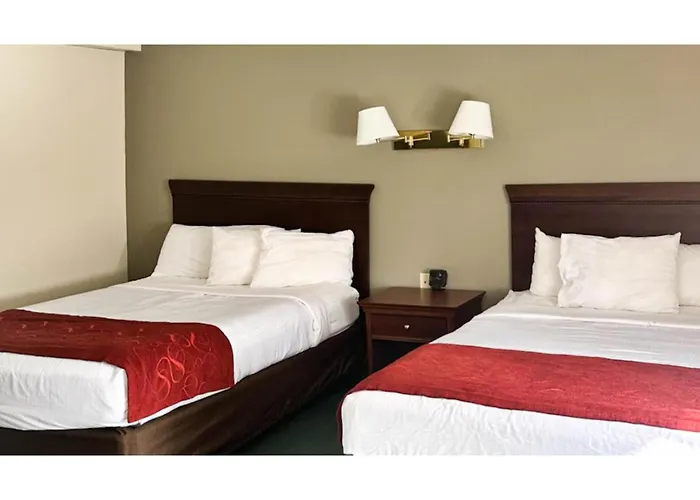 Queensbury Dog Friendly Hotels