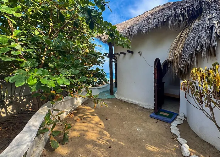 Shambhala Visión
