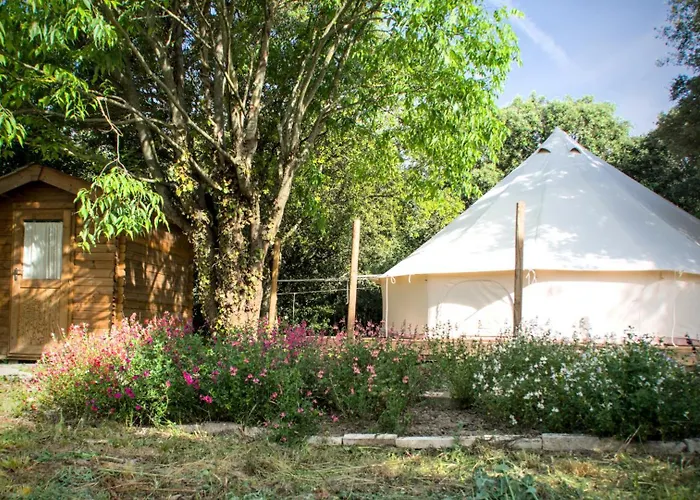 Domaine de la violette