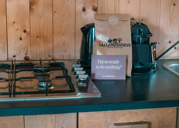 Vakantiepark Sallandshoeve Nieuw-Heeten