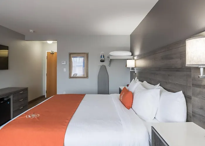 Moncton Dog Friendly Hotels