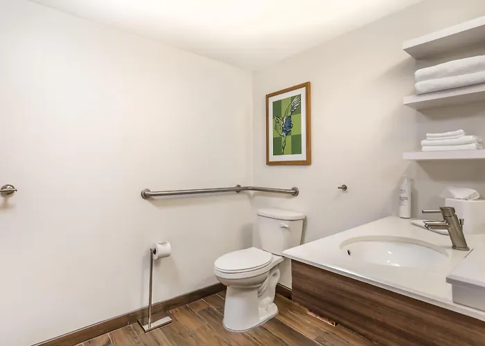 Hampton Inn Tampa International Airport/Westshore