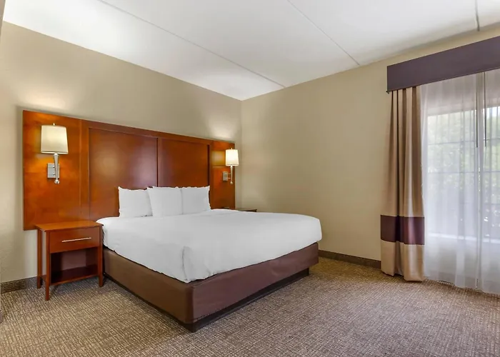 Comfort Suites Regency Park