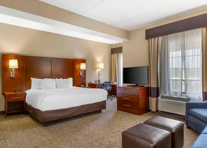 Comfort Suites Regency Park