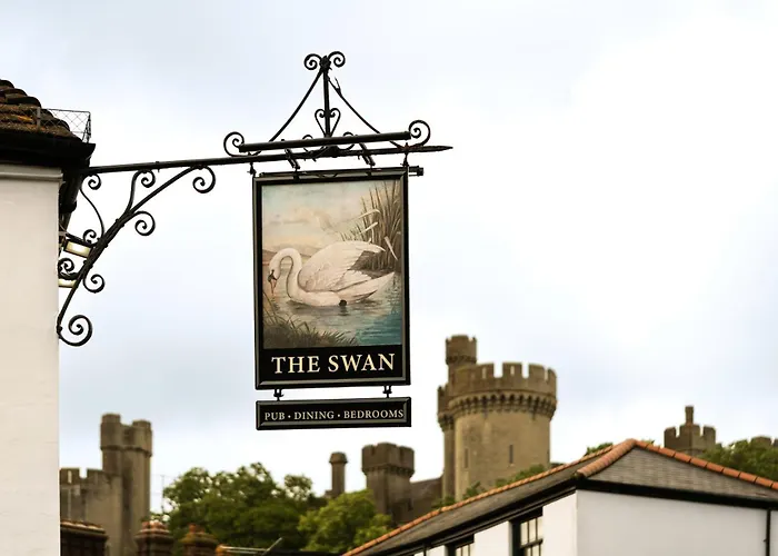 Swan