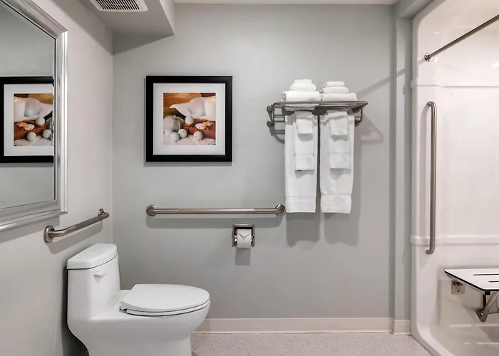Fredericton Dog Friendly Hotels