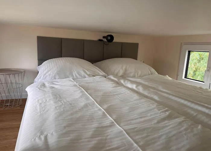 Prima Resort Boddenblick - Camping-Stellplätze - Tiny Houses&Ferienwohnungen in Ostsee Nähe