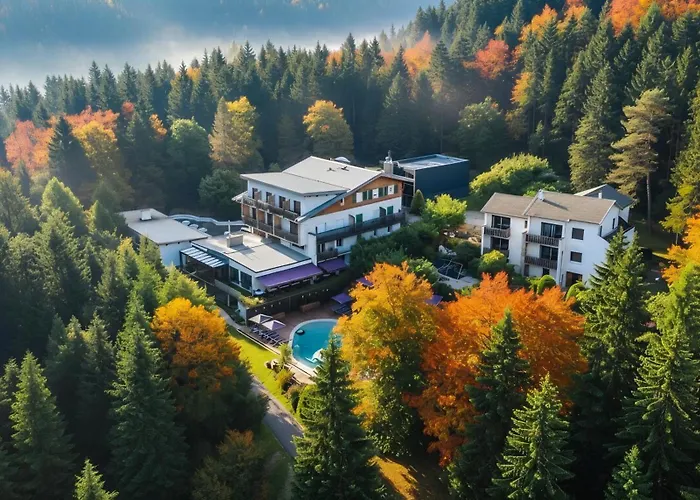 Logis Hôtel Clair Matin