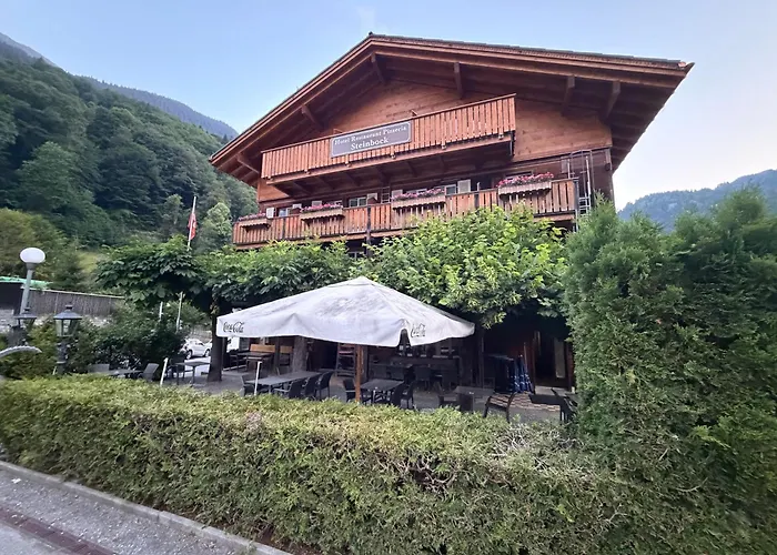 Hotel Steinbock