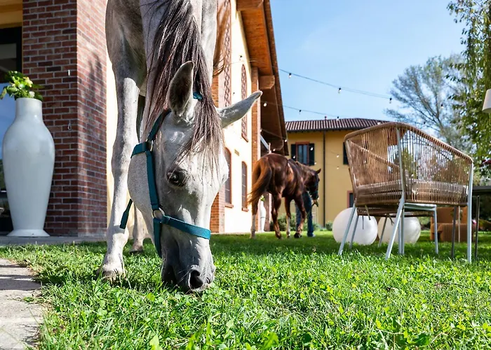 Agriturismo La Galizia