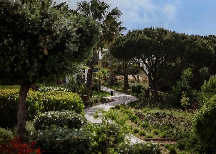 Masana Algarve