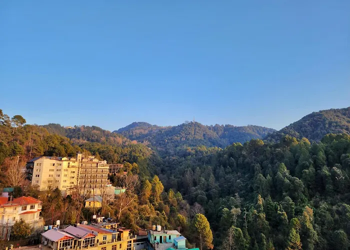 The White Orchid Dalhousie