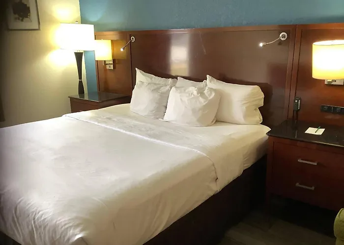 Quality Inn Sumter Near Shaw Afb