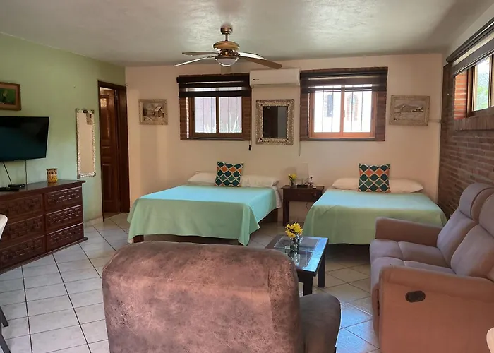 Brisa Suave Studio Suite