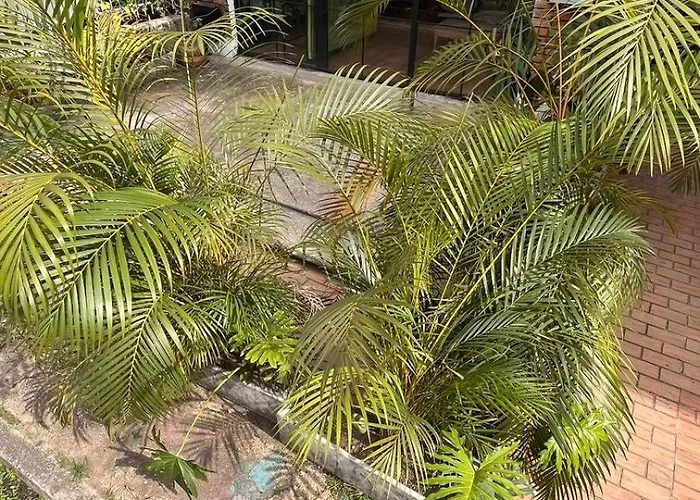 Fardo Hotel Boutique en ibagué - Zona Cadiz - Recepción Digital 24H