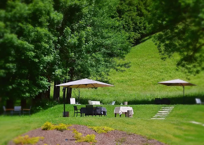 Hotel Orso Grigio