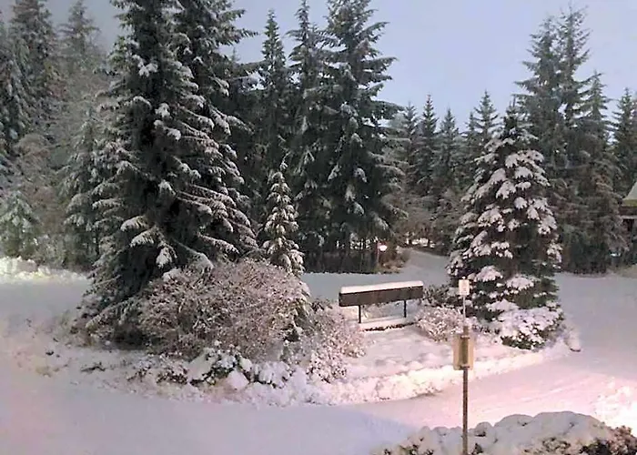 Ski Inski Out - Steam Shower - Roof Top Hot Tub- Air Conditioning