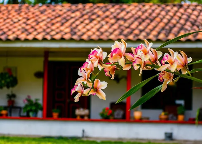Villa Cristina - Casa Boutique