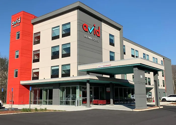 Avid s - By Ihg