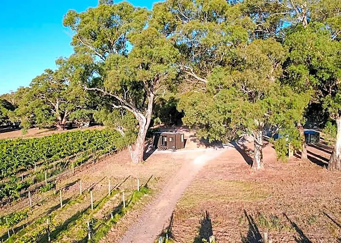 Cabn Mclaren Vale