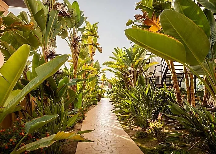 Alegria Palacio Mojacar Adults Only