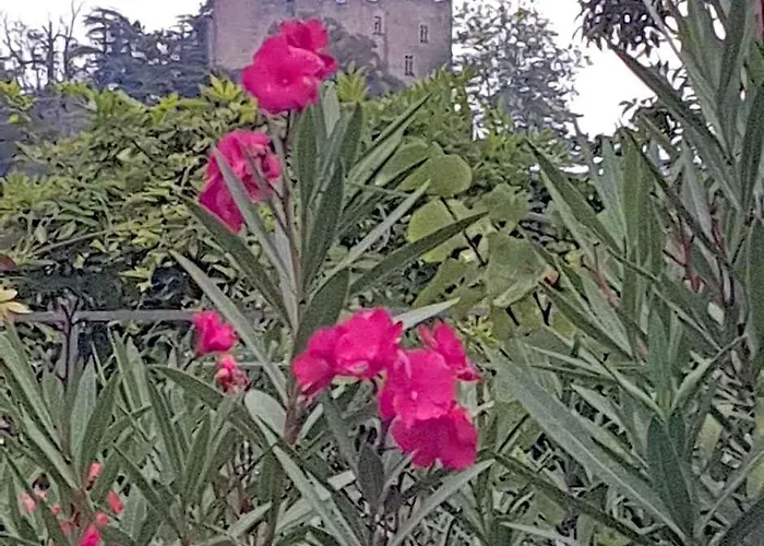 Les Nuances de Mélis'