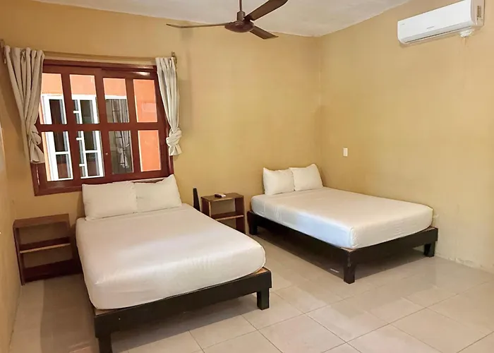 Hoteles que admiten perros en Bacalar 