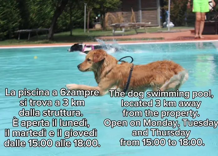 Pet Hotel Virginia - Hotel per cani