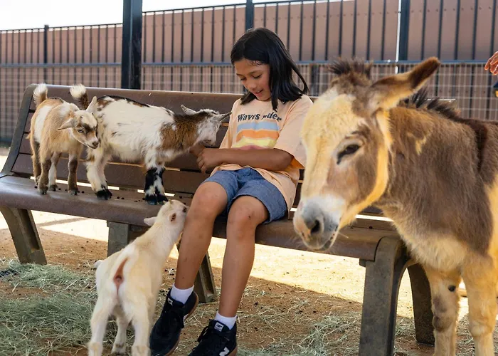 Rough Creek Lodge Ranch And Resort