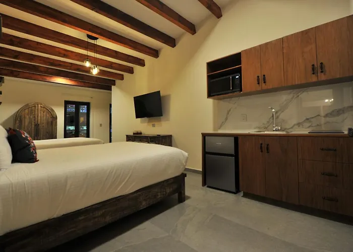 Hotel camino del bosque centro