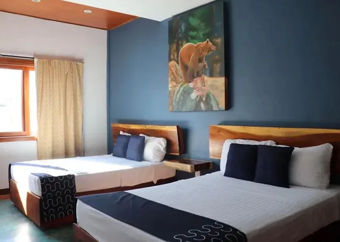 Samanu Hotel & Suites