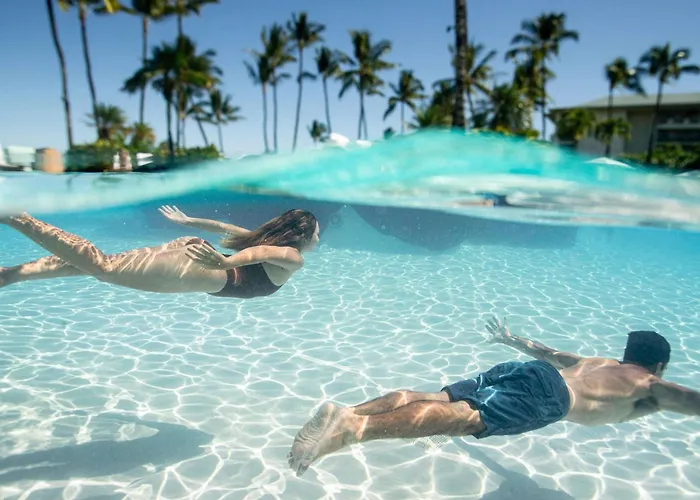 Fairmont Orchid