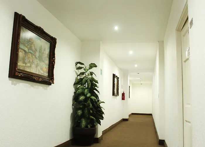 Tijuana Dog Friendly Hotels