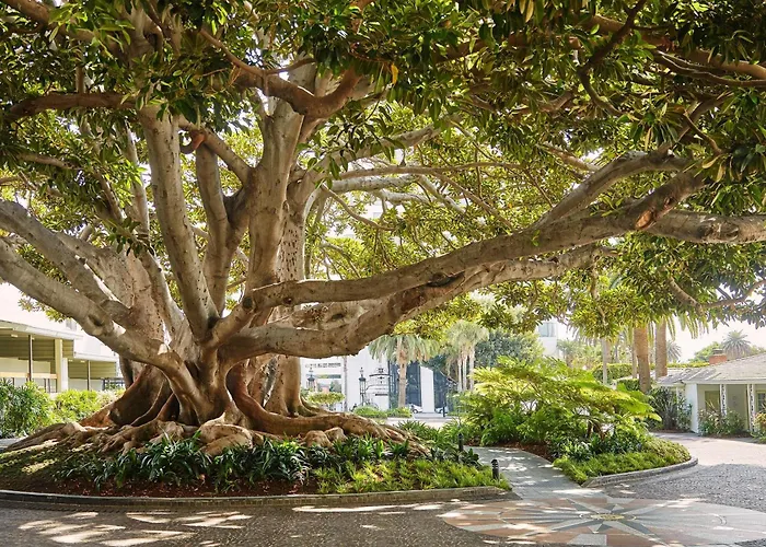 Fairmont Miramar & Bungalows