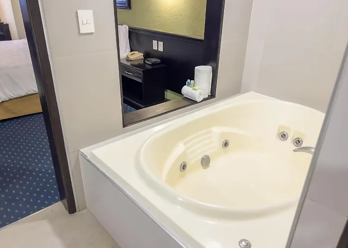 Holiday Inn San Luis Potosi-Quijote By Ihg